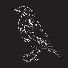 Naklejka premium Skylark in cartoon, doodle style. Image for t-shirt, web, mobile apps and ui. Isolated 2d vector illustration in logo, icon, sketch style, Eps 10. AI Generative