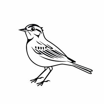 Skylark in cartoon, doodle style. Image for t-shirt, web, mobile apps and ui. Isolated 2d vector illustration in logo, icon, sketch style, Eps 10. AI Generative