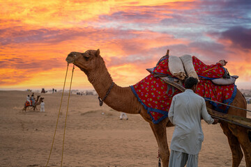 man in traditional kurta pyjama dress standing with camel wearing brightly colored clothes in the middle of sand dunes