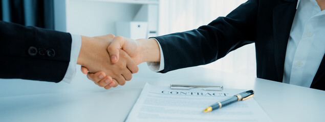 Two business executive shake hand in boardroom, sealing agreement merging two company. Handshake...