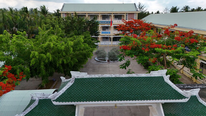 Amazing landscape of Mekong Delta village, school campus with red phoenix flowers tree bloom...