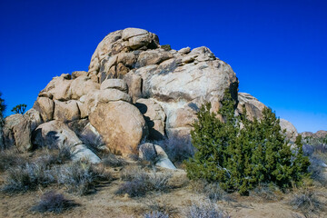 Desert stone landscape Joshua Tree, Big Rocks and Yucca Brevifolia Mojave Desert, Joshua Tree National Park, California