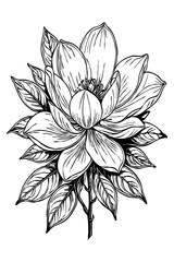 Fototapeta premium Magnolia flower. Black and white line art. Print for T-shirts, design for tattoos. Generated by Ai