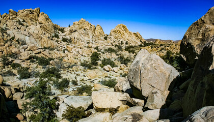 Desert stone landscape Joshua Tree, Big Rocks and Yucca Brevifolia Mojave Desert, Joshua Tree National Park, California