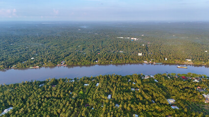Beautiful aerial view of Mekong Delta countryside, coconut land with vast coconut, nipa palm...