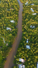 Beautiful aerial view of Mekong Delta countryside, coconut land with vast coconut, nipa palm jungle, riverside house and waterway transport good for Vietnam ecotourism at Ben Tre