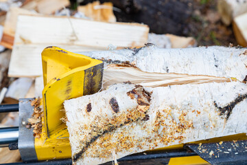 Electric log splitter splitting birch log