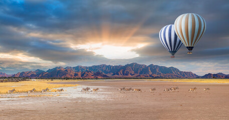 Hot air balloon flying over African savannah - Amazing Zebras running across the African savannah -...