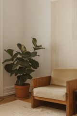 Fototapeta premium Gran planta Ficus Lyrata junto a sillón de madera maciza, Rincón acogedor con alfombra texturizada y luz natural, Estilo boho moderno con elementos naturales y botánicos