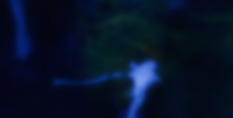 Dive into the Lively Psychedelic Patterns and Get Lost in an Abstract Masterpiece of Colors