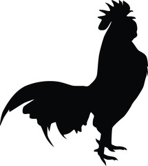 Silhouette of a cockerel isolated on white. Illustration of chicken animal in wildlife