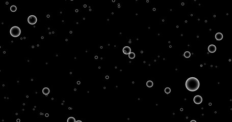 bubbles on black