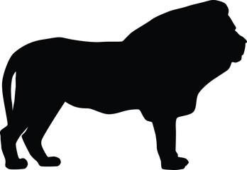 Silhouette of a lion isolated on white. Illustration of lion animal in wildlife