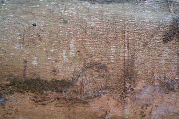 Wooden texture background