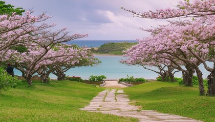 beautiful view of the park with sakura cherry blossoms okinawa japan