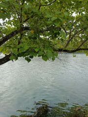 Views of the beautiful landscape of Kerala, India