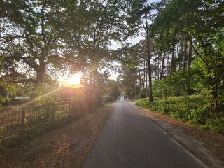 Walking during a magical sunset hour in Rahnsdorf,  Berlin