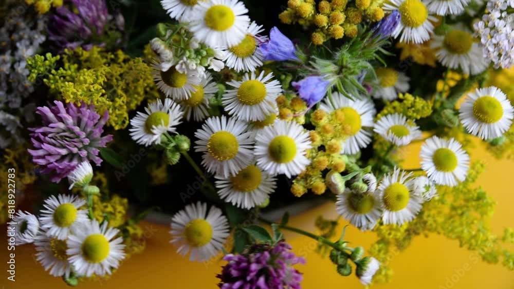 Sticker Summer blooming delicate field flowers in vase on a bright yellow background