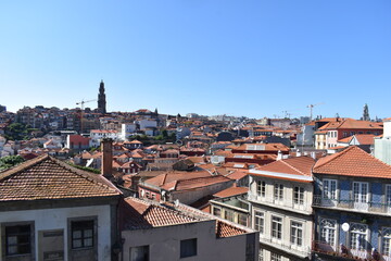 Fototapeta premium Nature