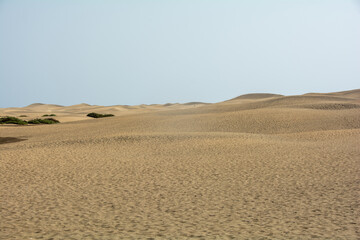 Sand dunes and blue sky