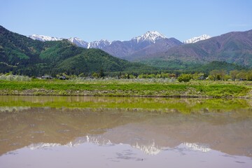 安曇野　常念岳と水田の水鏡