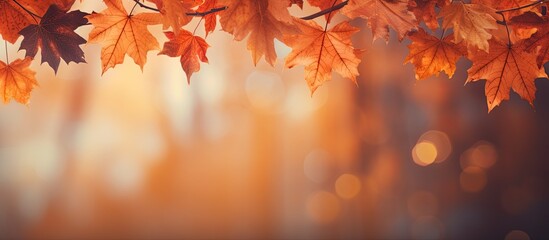 A fall themed background with orange leaves perfect for conveying the essence of autumn Offers plenty of copy space for your needs