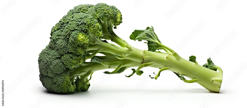 Wall mural Broccoli displayed as a copy space image on a white background - Wall murals