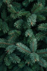 a christmas tree background