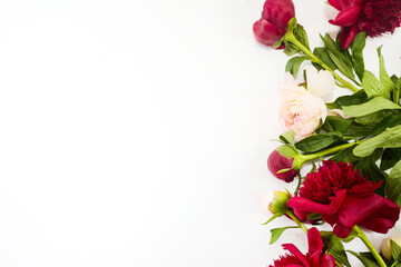 Fototapeta premium A beautiful corner border arrangement of red and pink peonies on a white background
