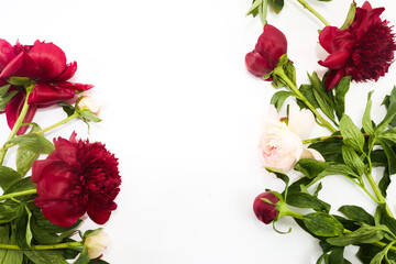 A beautiful corner border arrangement of red and pink peonies on a white background