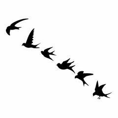 black silhouette or illustration of a swallow