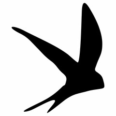 black silhouette or illustration of a swallow