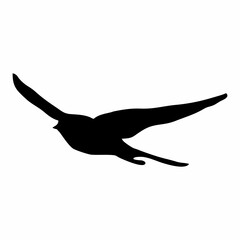 black silhouette or illustration of a swallow