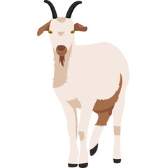 Goat Illustration Vector