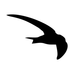 black silhouette or illustration of a swallow