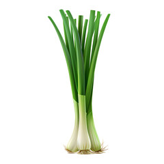 Fresh green scallions on white background