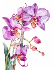 Vibrant watercolor orchids in sky blue, rose, fuchsia, and yellow on long stems against a white background.