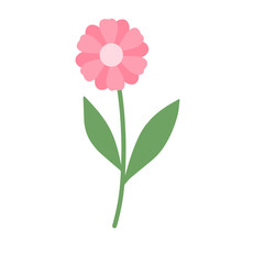 pink flower illustration floral leaf cute drawing
