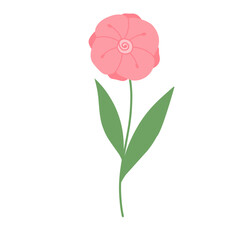pink flower illustration floral leaf cute drawing