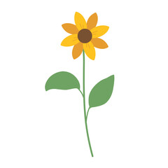 sunflower illustration floral leaf cute drawing