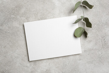 Wedding invitation or greeting card mockup with dry eucalyptus twig decor, blank card mock up with copy space