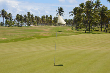 Obraz premium Coastal golf course view with coconut trees in the background. coconut palm tree
