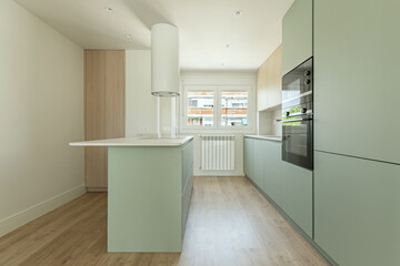 Frontal image of an open kitchen with a modern design with pastel green furniture, with a matching...
