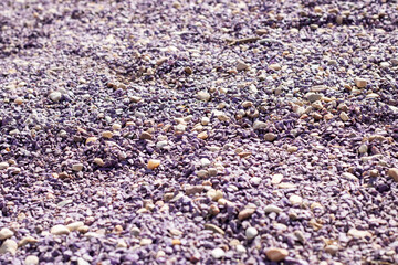 A mixture of purple gravel, rocks, and pebbles covers the ground