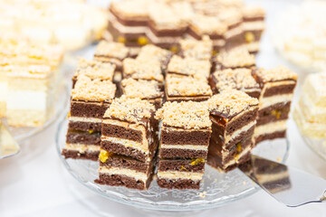 sliced ​​cake on a plate, restaurant, catering 
