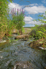 A clean, cool stream flowing from underground.