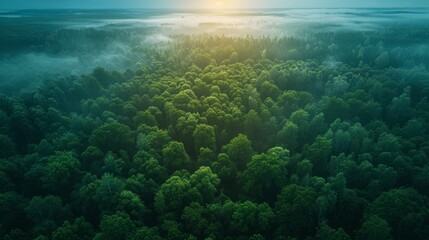 Top view photograph of the nature filled with forests, mountains, clouds, and sun on a bright spring or summer day.