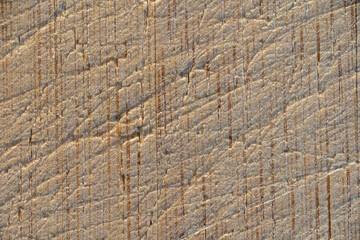 Closeup macro shot of the texture of a used wooden cutting board 