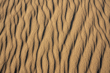 Patterns of ripples on sand dunes