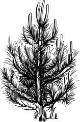 Hand drawn tree. Sketch illustration isolated on white background.